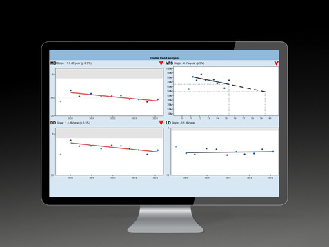 HS_VFS_all_four_representation